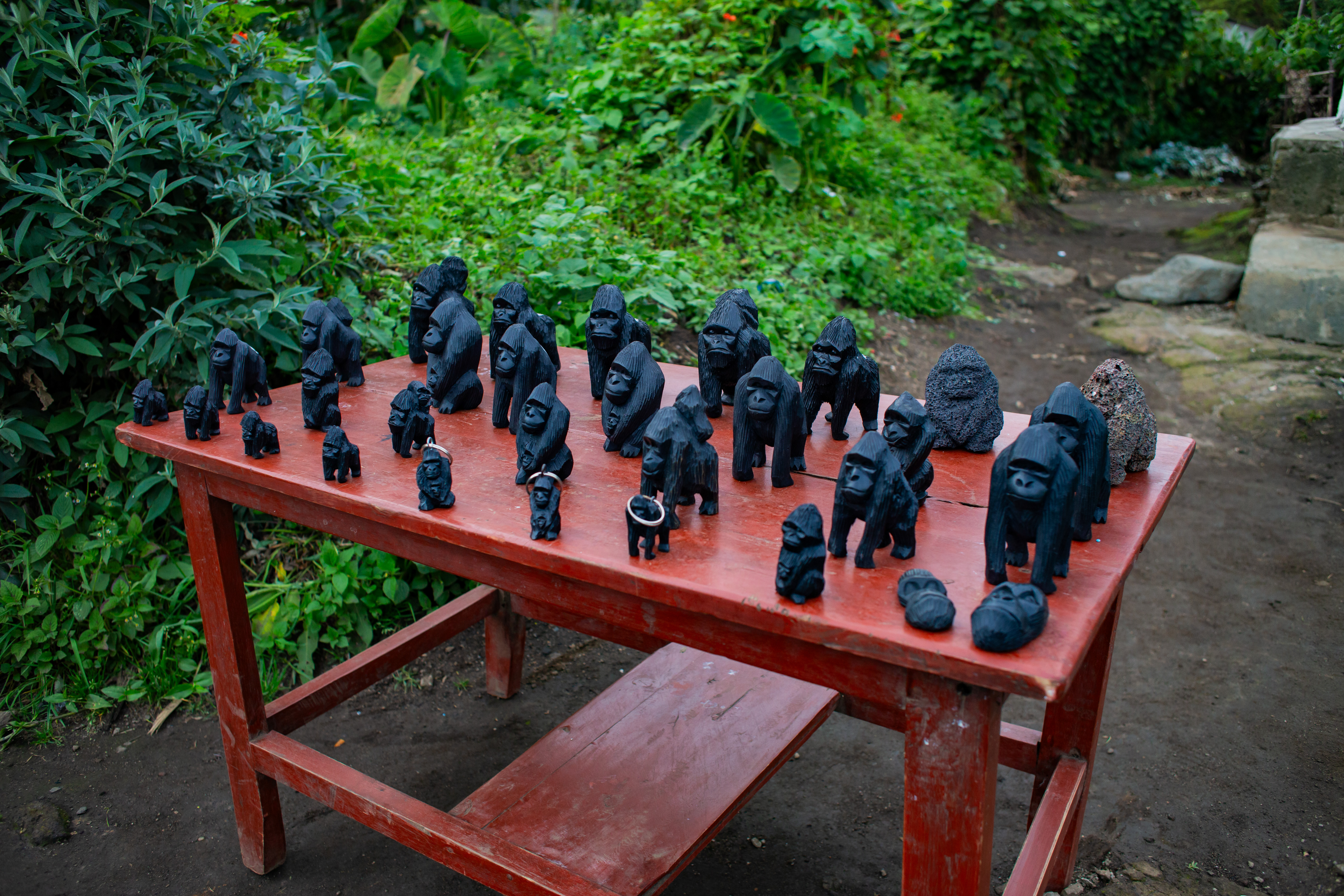 Virunga Homestay Impact 13